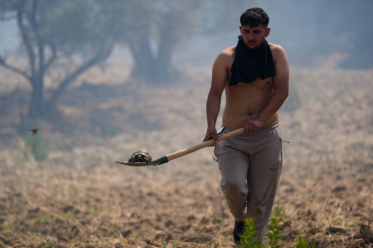 Izmirde Cifte Yangin Kabusu Iki Ilce Alev Alev 3-1