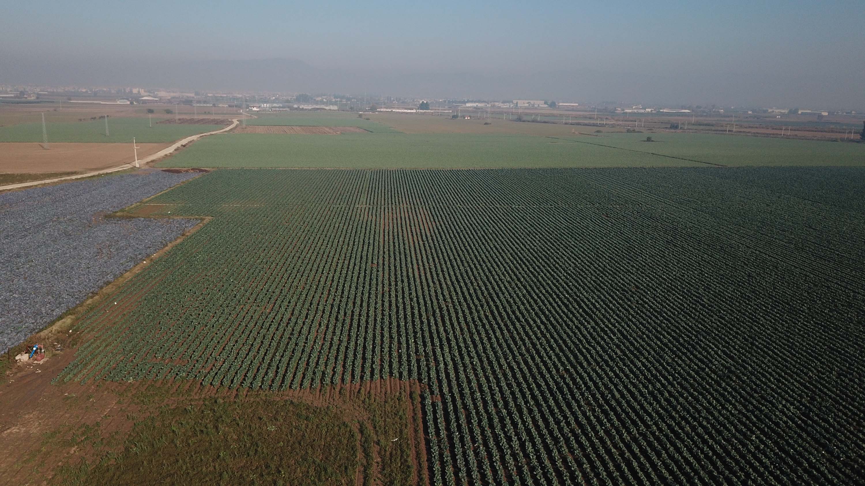 Izmirde Tarima Kuraklik Tehdidi Zaman Daraliyor 3
