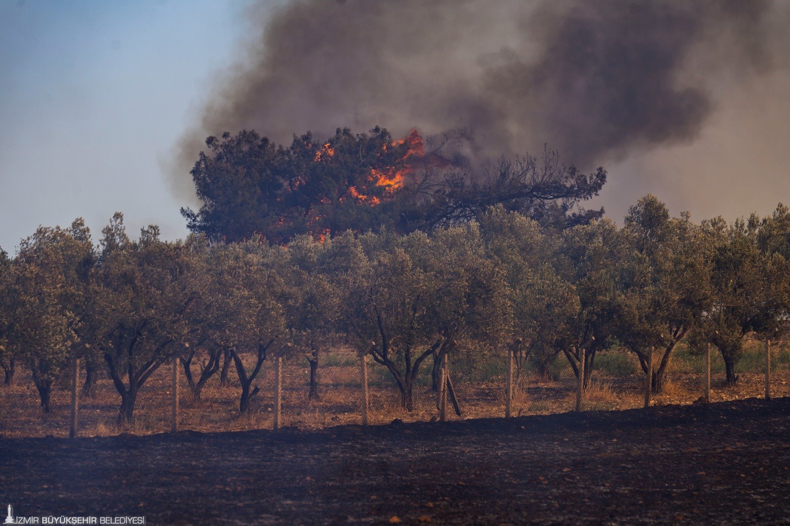 Izmirin Aci Yangin Raporu Bucanin Iki Kati Alan Kule Dondu 3