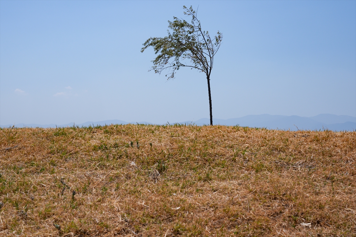 A A 20250806 38758468 38758457 I Z M I R D E I C M E S U Y U B A R A J L A R I N I N S E V I Y E S I D U S M E Y E D E V A M E D I Y O R