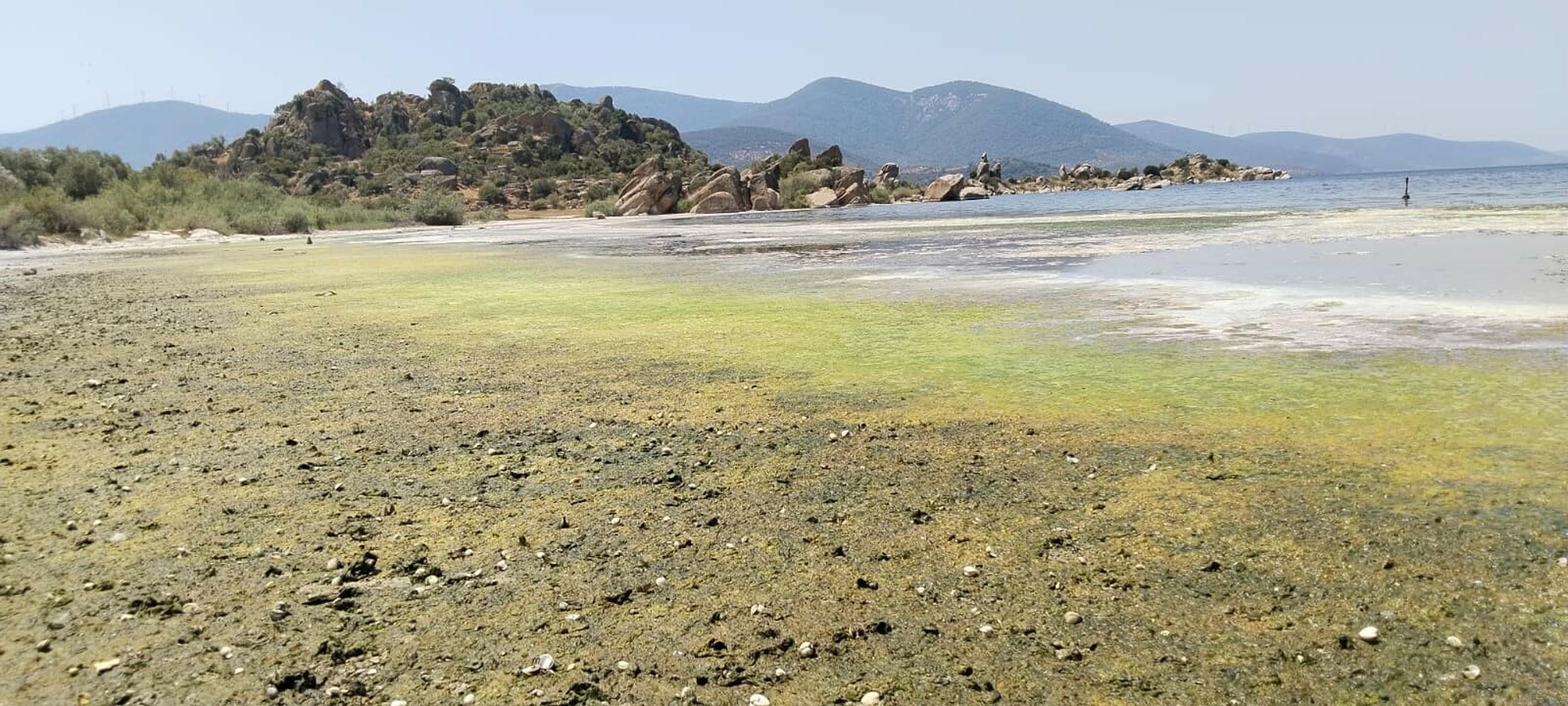 Bafa Golunde Kirlilik Alarmi Dereler Kurudu 2