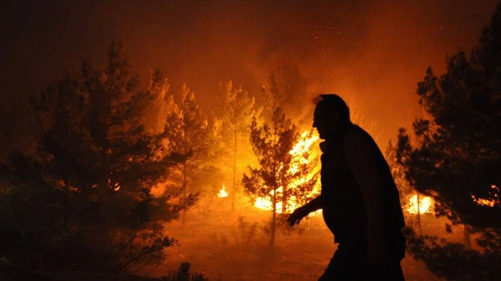 D Erv Thx4M Ea5 Iqvg H1 X C4 A