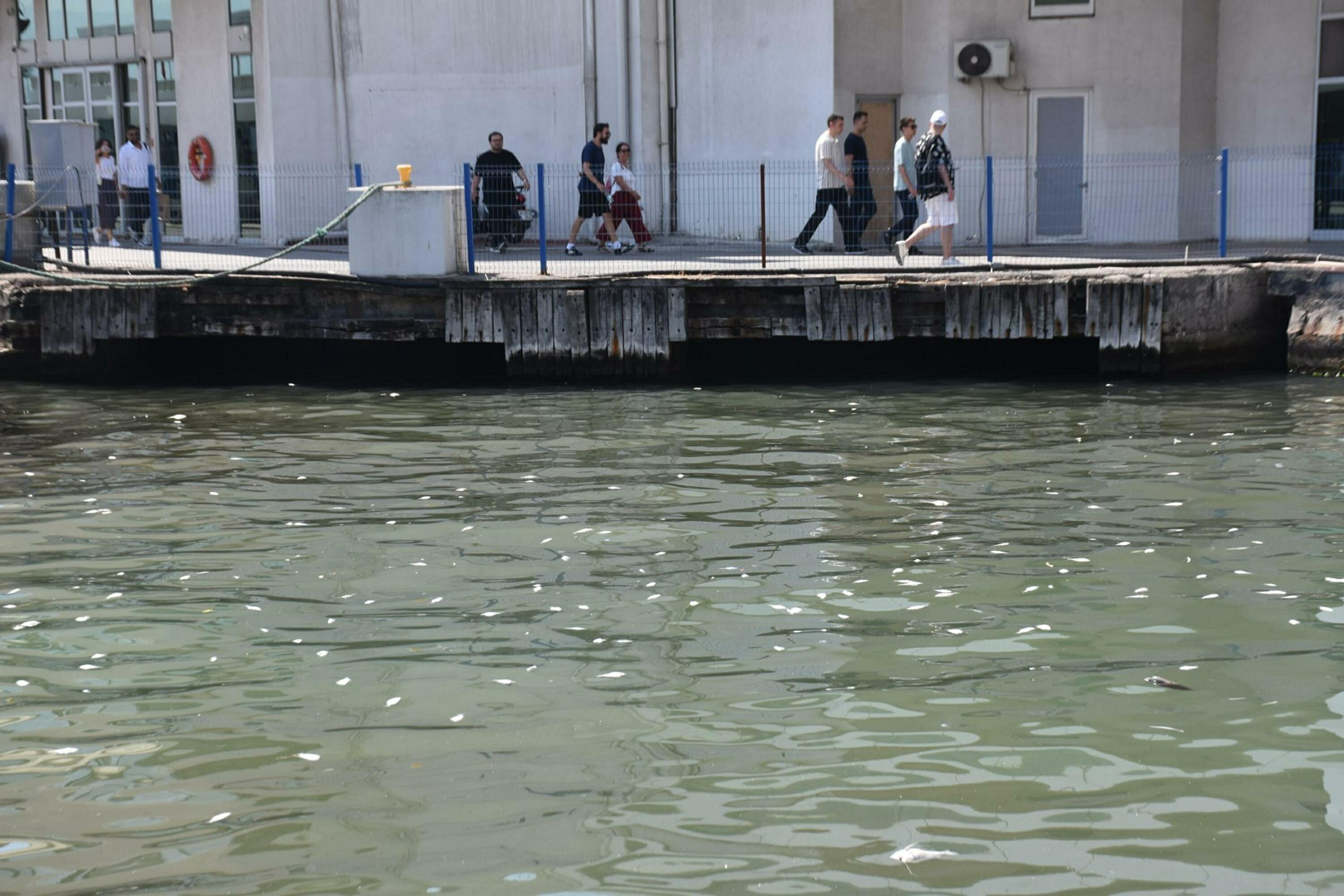 I Z M I R K O R F E Z I N D E B A L I K O L U M L E R I A R T T I 878094 260855