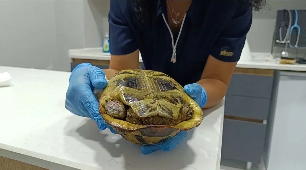 Itu5Xi Zk E O S E Un2 Ti Rdj Q