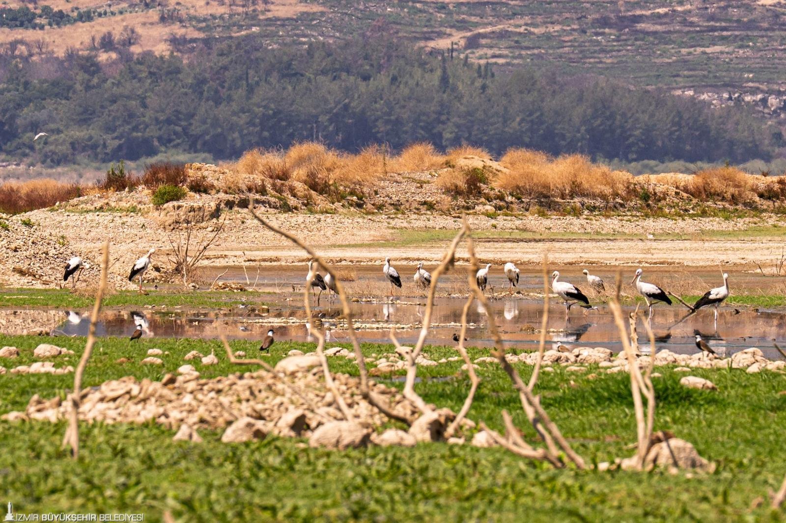 Izmirde Su Krizi Giderek Buyuyor Izsudan Acil Cagri 4