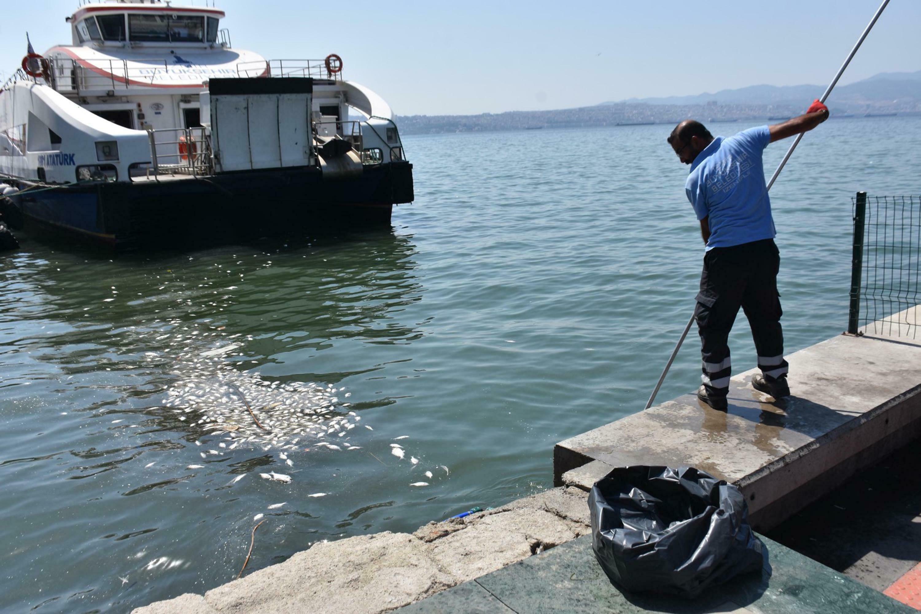 P R O F. D R. O Z K A N K O R F E Z 1 2 Y I L D A D U Z E 886437 263432