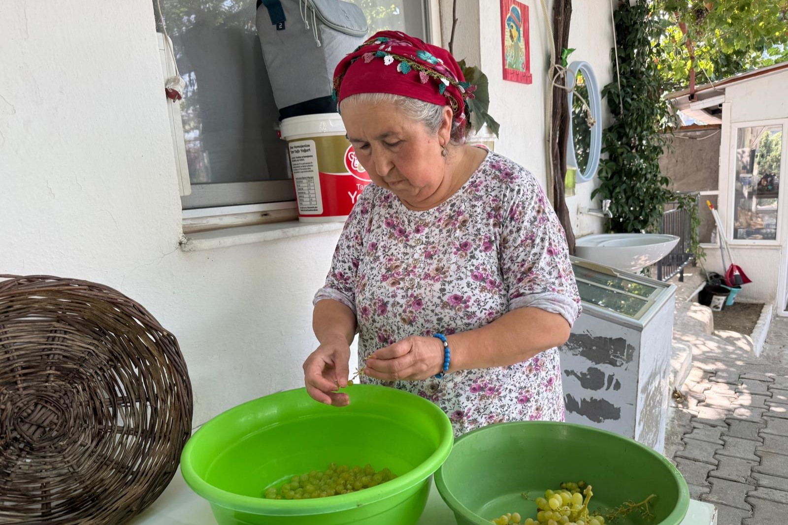 Turkiyenin Ilk Recel Festivali Bornovada Yapilacak 3