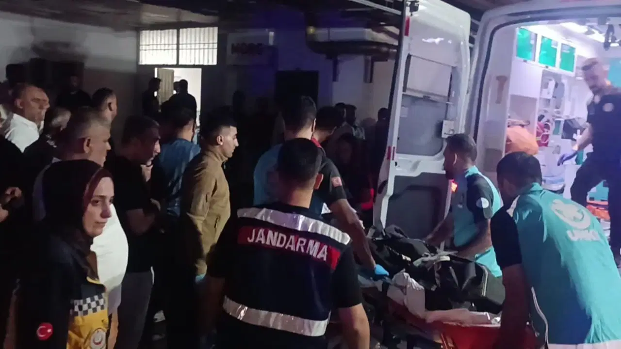 3Bce88D3 Bc4A 45Eb B202 Bc7Df396746A