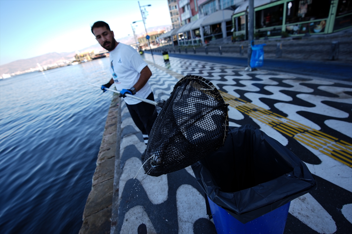 A A 20250922 39191530 39191519 I Z M I R K O R F E Z I N D E B A L I K O L U M L E R I S U R U Y O R