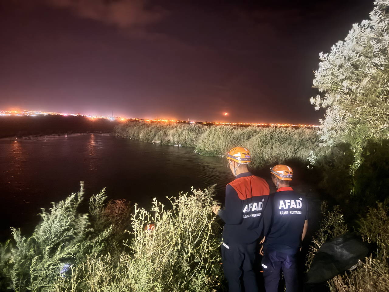 B54F1F54 0E5F 41C7 8325 3378E3D247D6