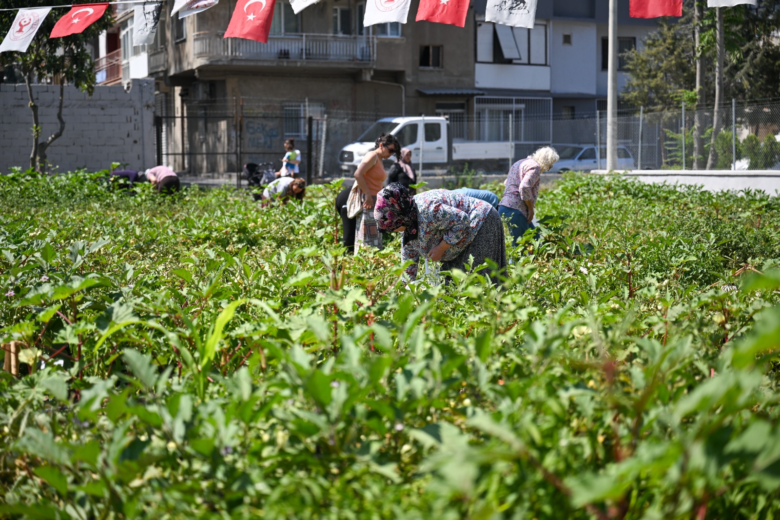Bornovada Kent Bostanlarinin Sayisi 6Ya Cikiyor 2