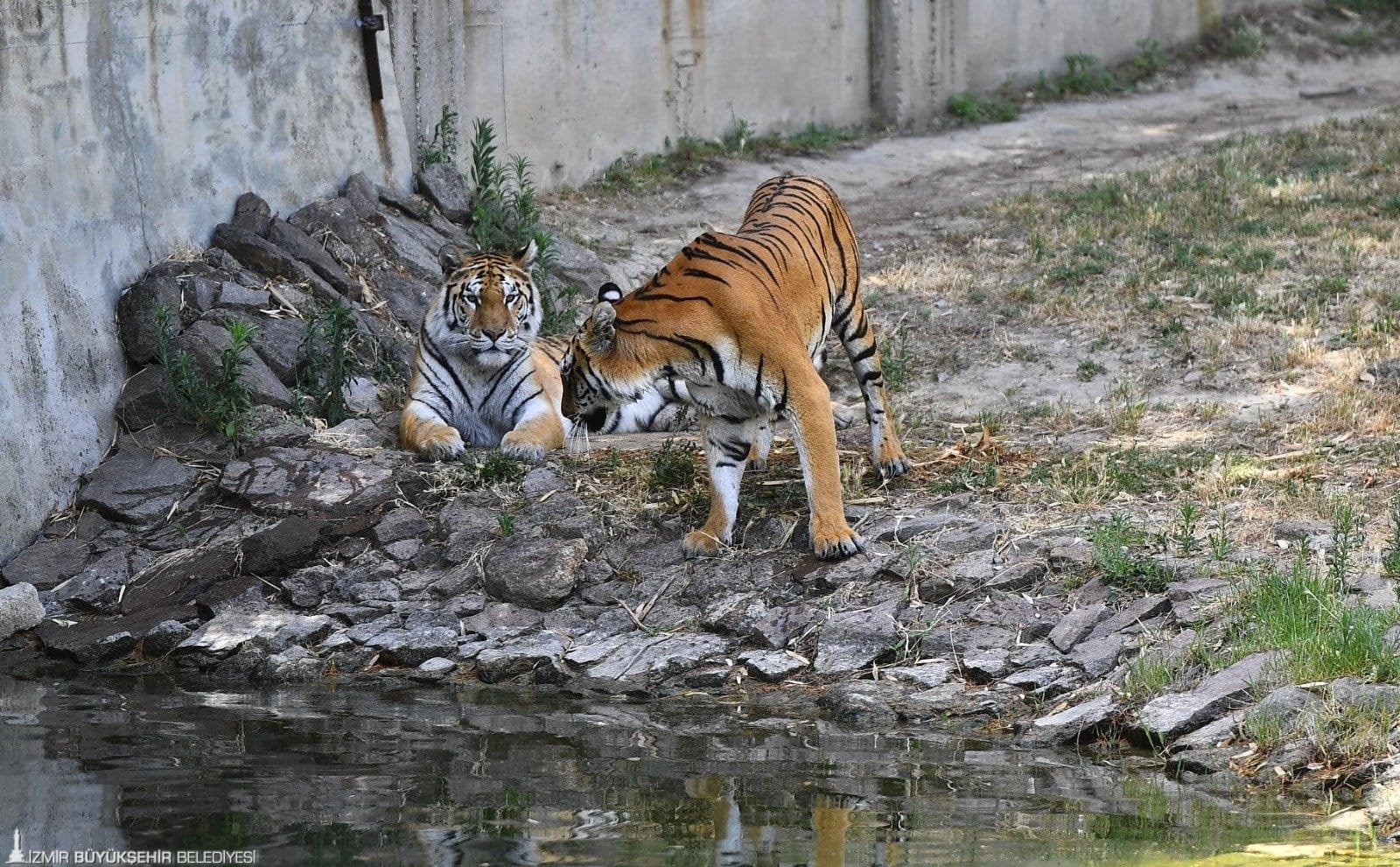 Dogal Yasam Parkinda Kis Saati Uygulamasi Basliyor 1