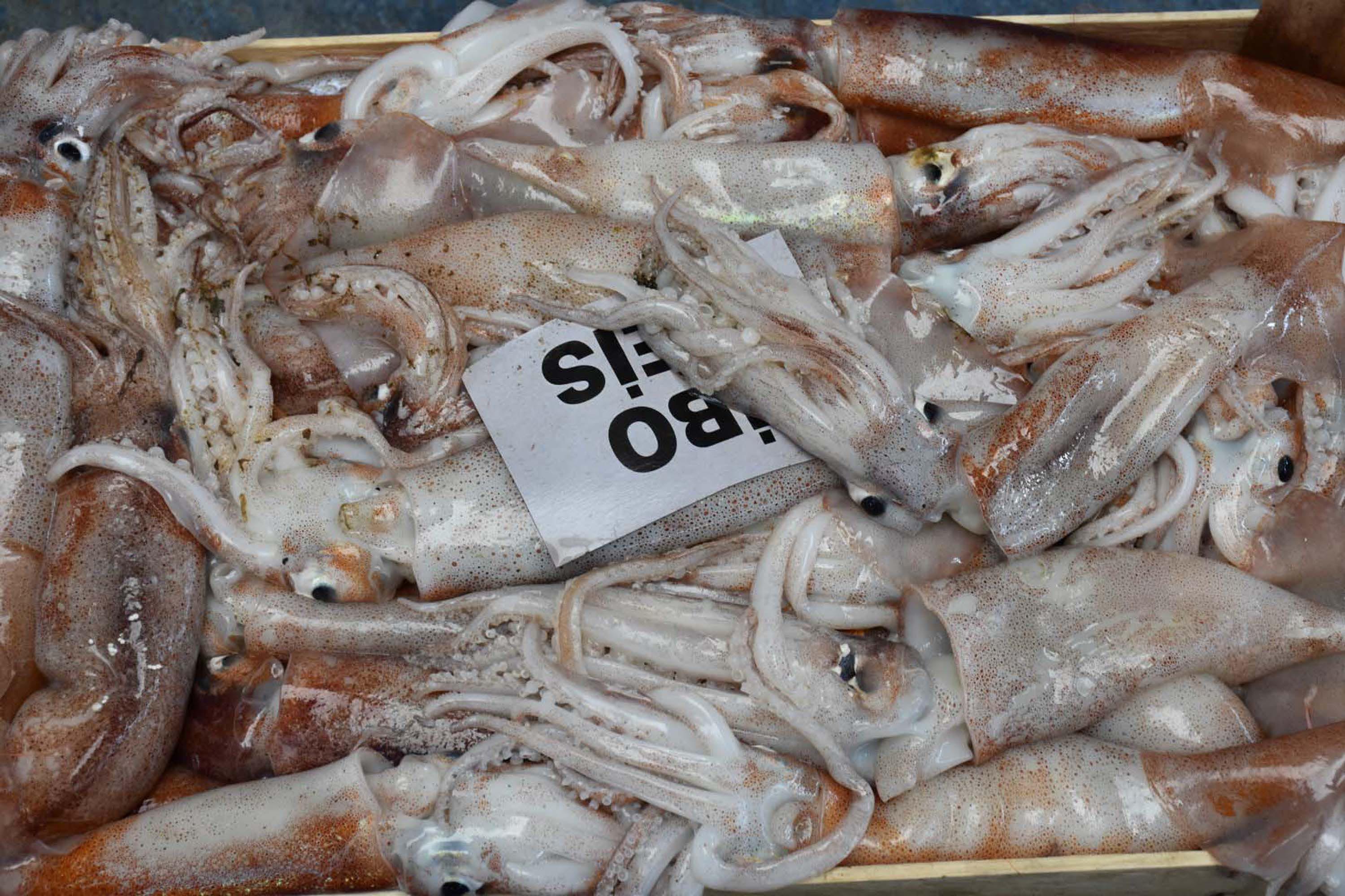 Egede Balik Bereketi Fiyatlar Yari Yariya Dustu 3