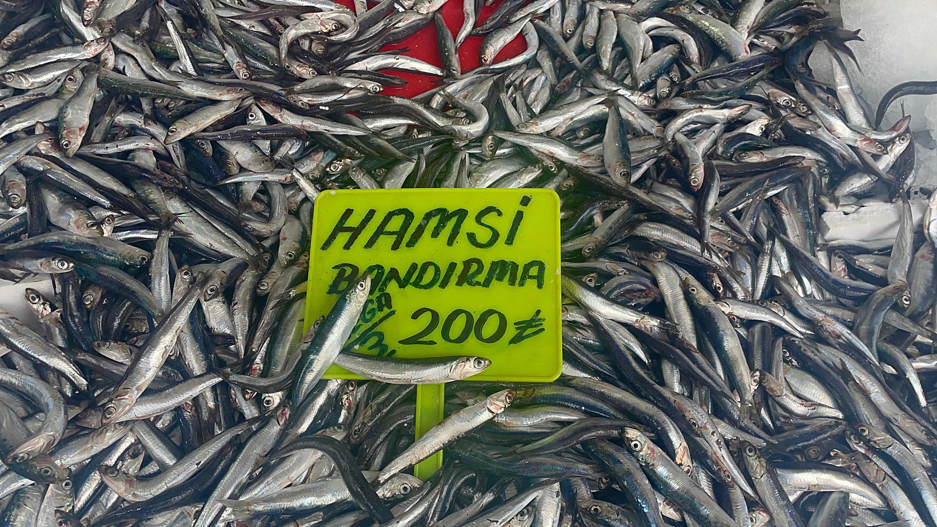 Egede Balik Bereketi Fiyatlar Yari Yariya Dustu 4