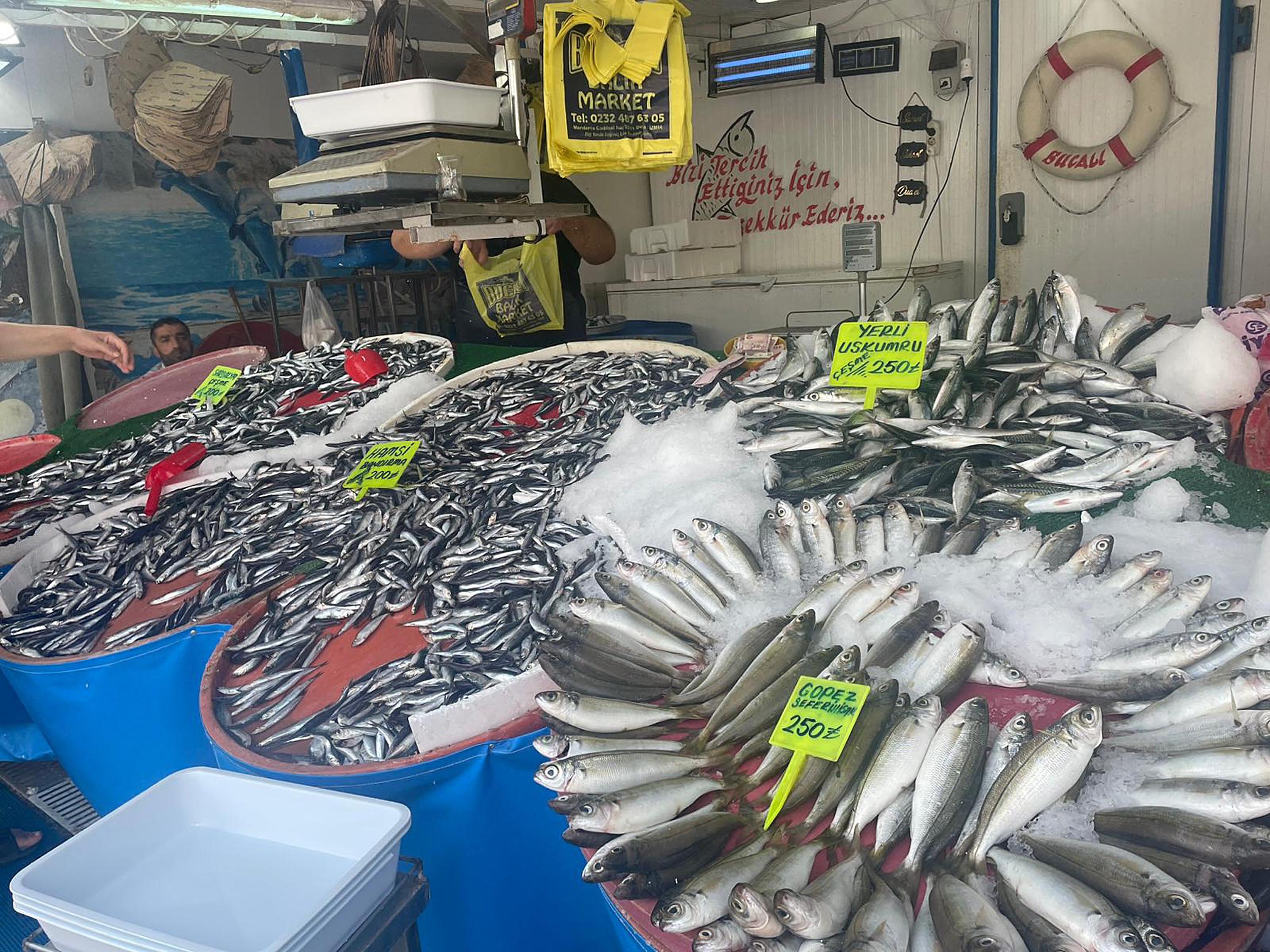 Egede Balik Bereketi Fiyatlar Yari Yariya Dustu 5