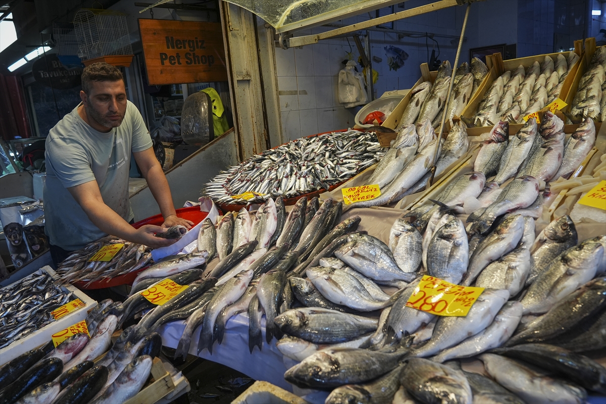 Egeli Balikcilar Mutlu Sezon Bereketli Basladi 2