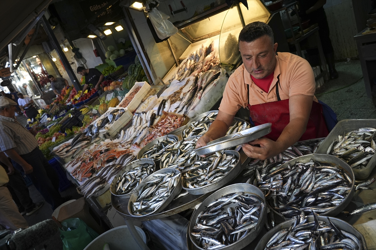 Egeli Balikcilar Mutlu Sezon Bereketli Basladi 3