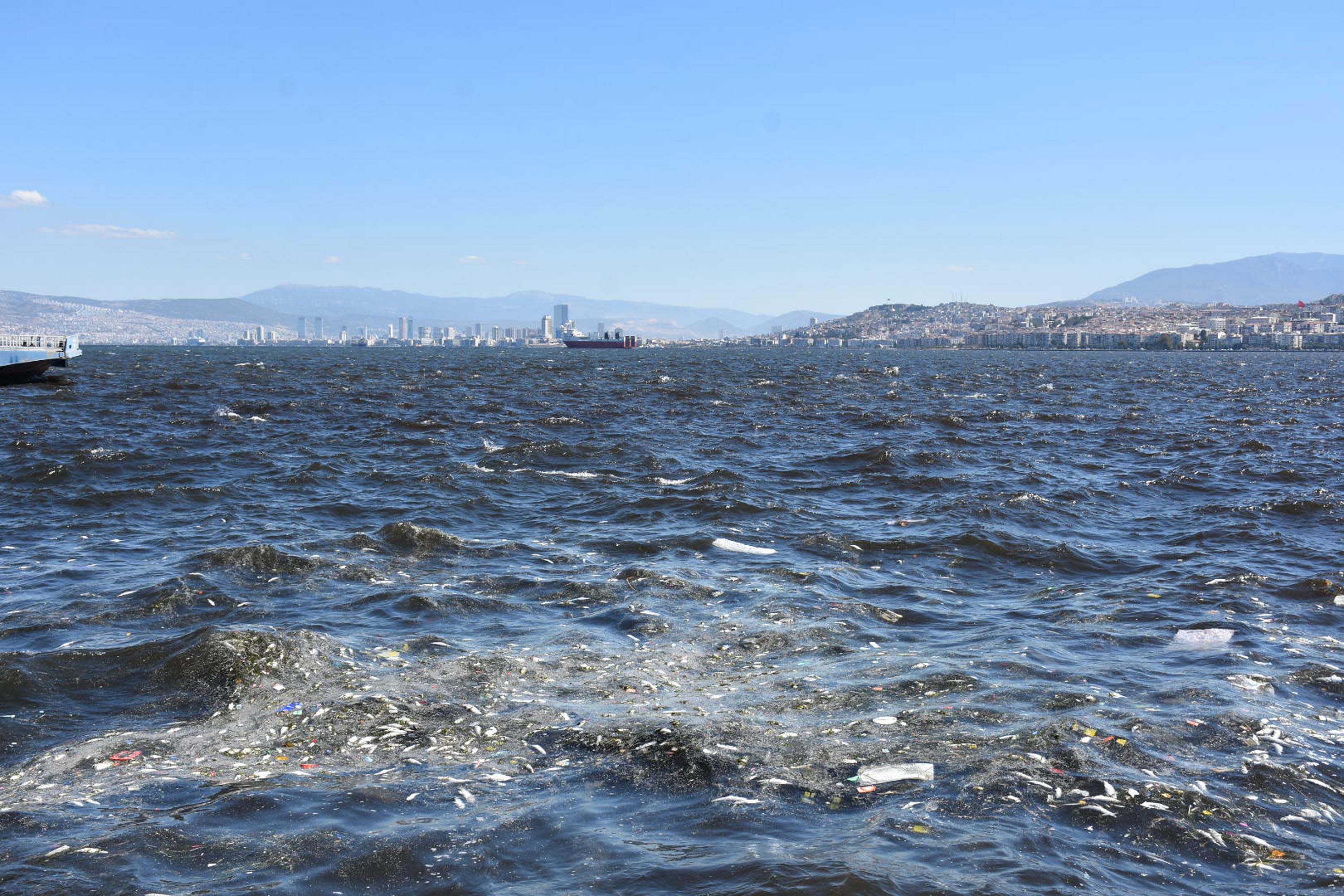 I Z M I R K O R F E Z I N D E B A L I K O L U M L E R I 921237 273746