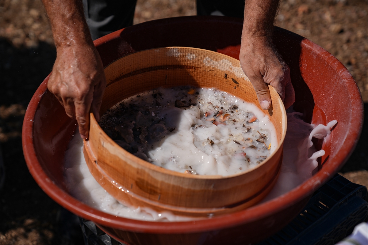 Izmirde Ilk Kez Toplaniyor Kilosu 20 Bin Tl 4