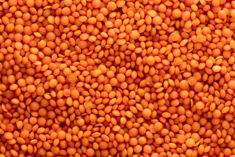 L1S Aeo0B Jk S A Z R N U G T Q Mk Q