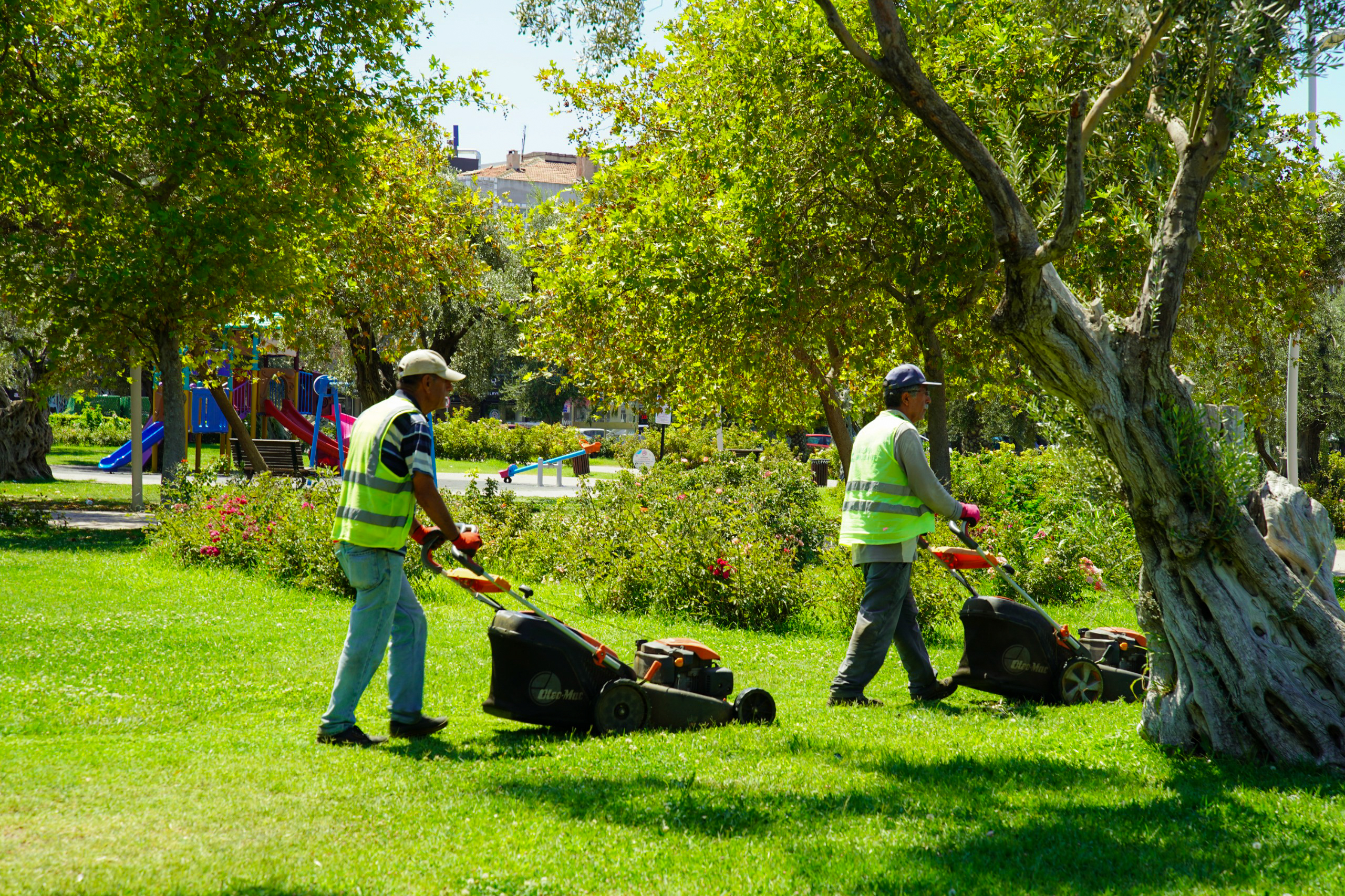 Maviyle Yesilin Bulustugu Kent Aliaga 5