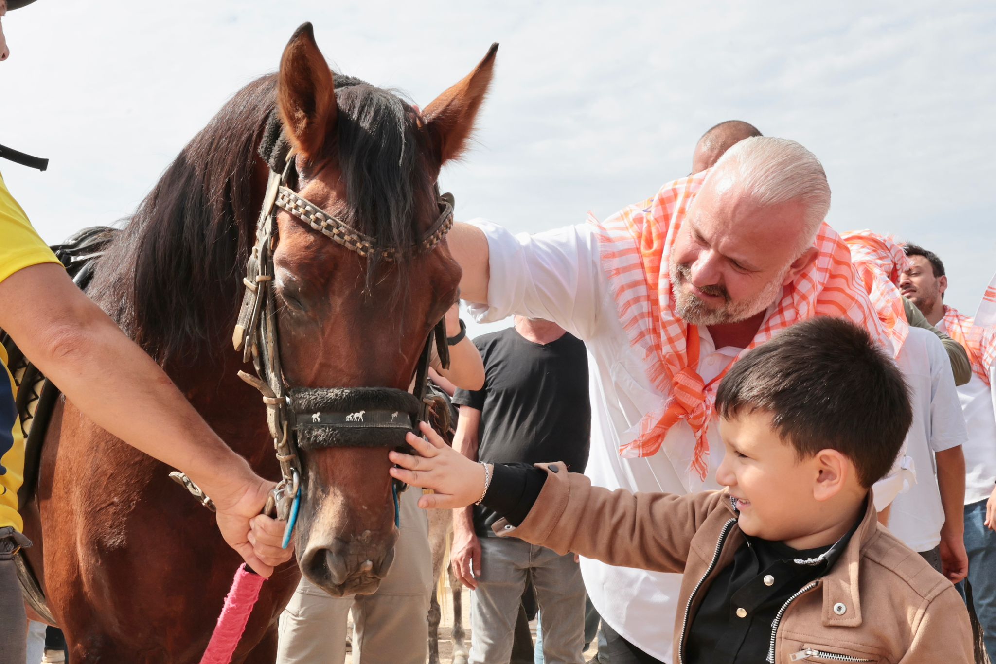 Turkiyenin Sampiyon Atlari Menemende Yaristi 3