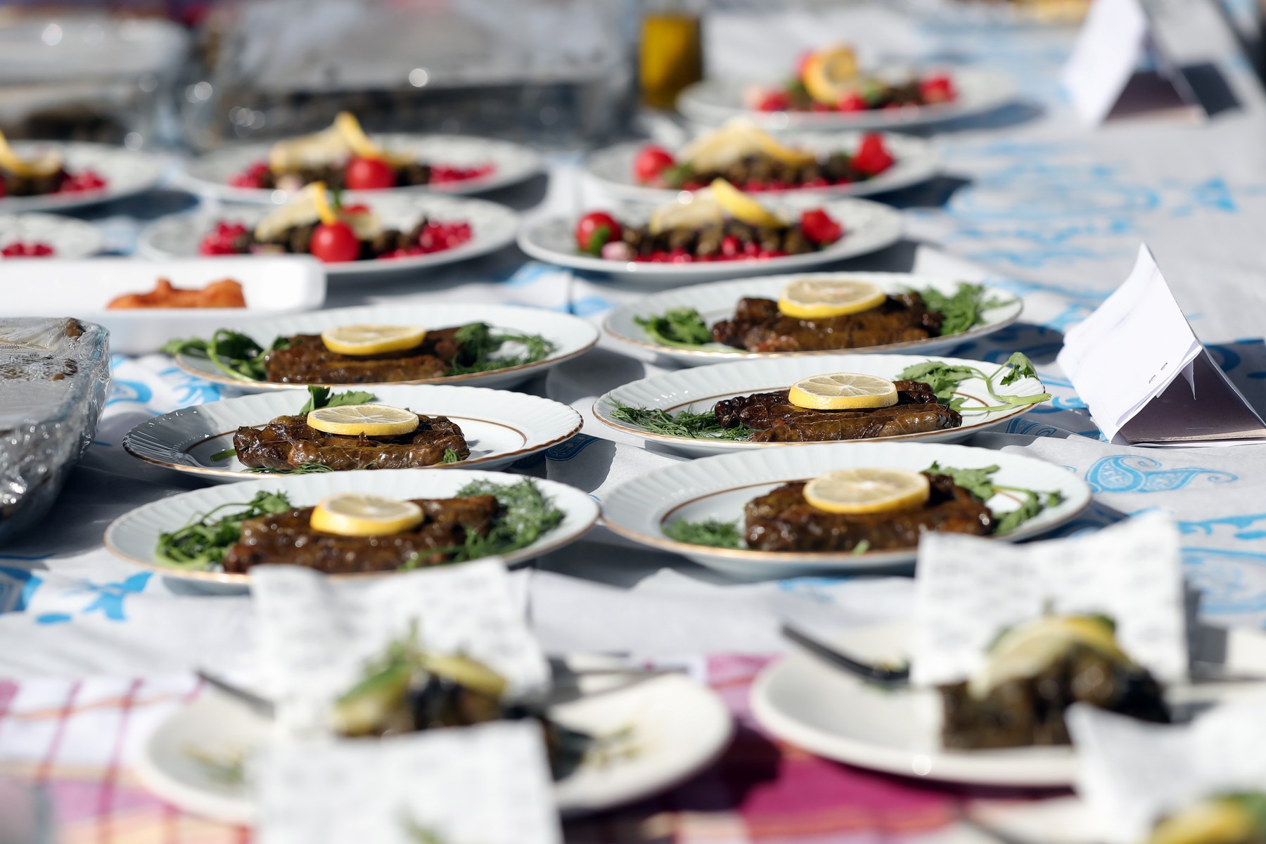 13 Aliağa’da Zeytinin Bereketi 4.Zeytin Hasat Şenliği’nde Kutlandı