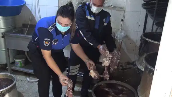 20810715 12Db 41Ae 9E04 3B9Fef88E229