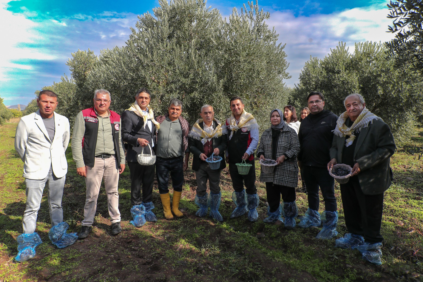 4 Aliağa’da Zeytinin Bereketi 4.Zeytin Hasat Şenliği’nde Kutlandı