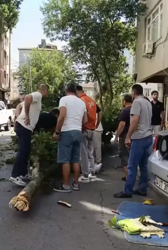 A447D830 F71B 4A10 Bed6 2B59C9A93450