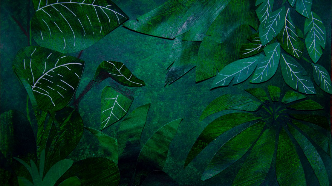 Animasyon Görseli 1-1