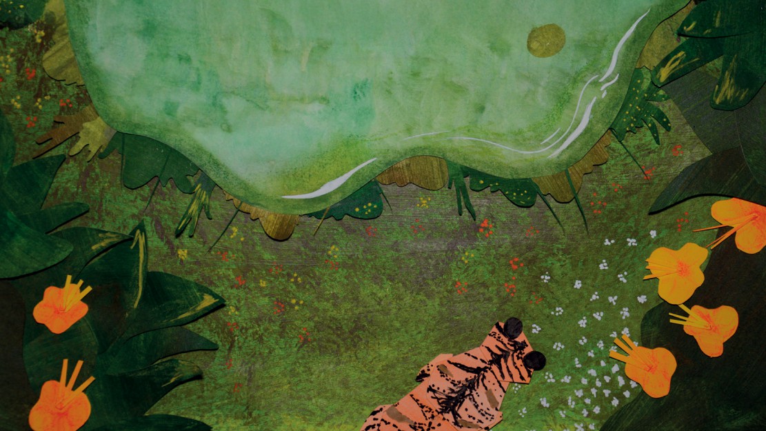 Animasyon Görseli 2