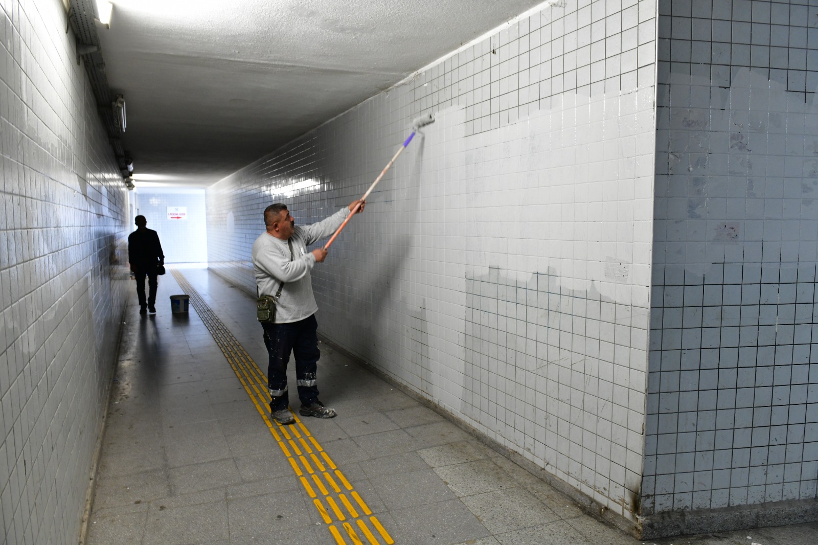 Ciglide Sonbahar Bakimi Agaclar Budaniyor Kent Guzellesiyor 3