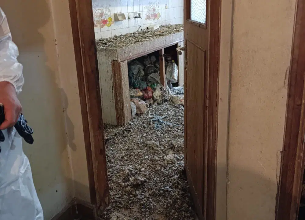 E3B62E62 A85B 4F18 8Ba6 A07D463088A1