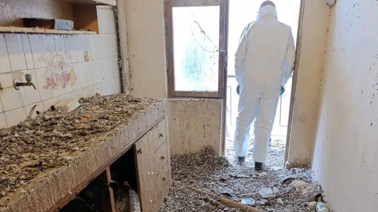 Ea83Aba7 Fd4C 49B3 8E9C 3A05D1A18B20 (1)