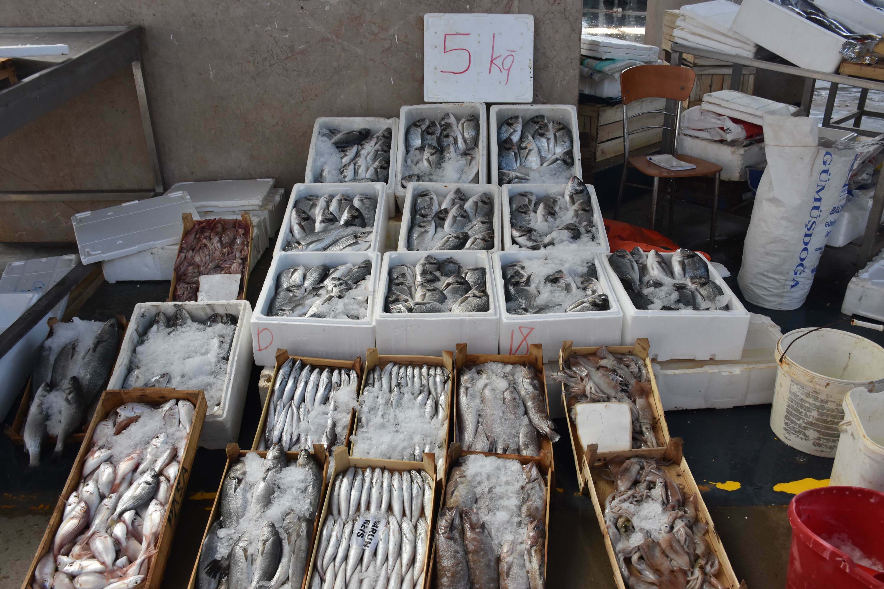 Ege Hamsisi Avrupa Pazarinda Talebe Yetisilemiyor 2