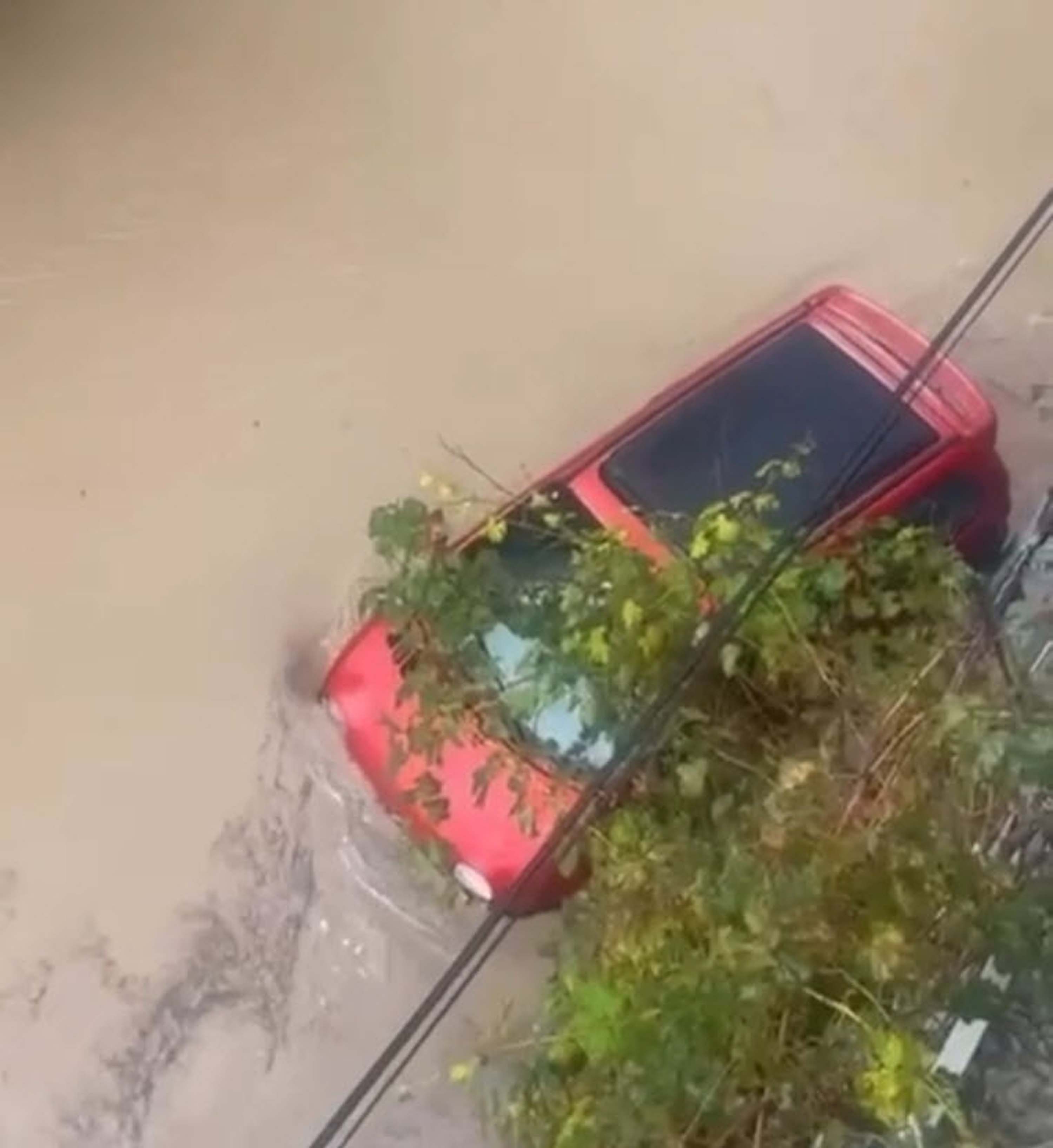 I Z M I R D E S A G A N A K E T K I L I O L D U (3) E K G O 977869 290403