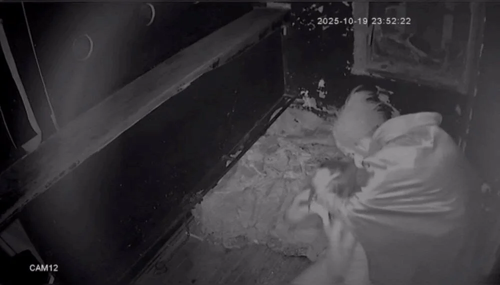 Korku Evinde Kabusu Yasayan Genc Kiz O Anlari Anlatti 2