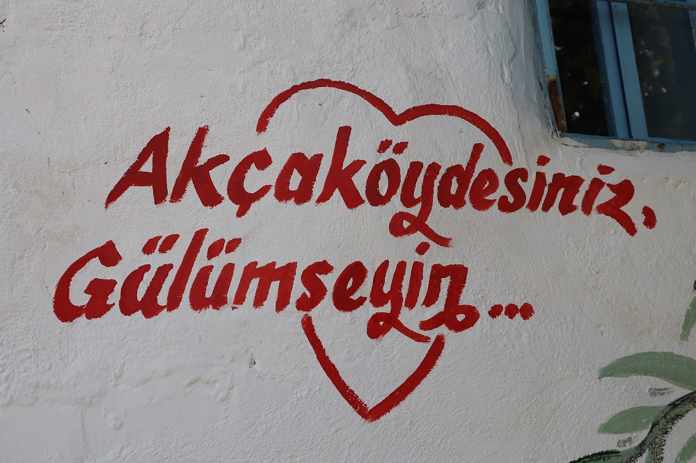 Mendereste Akcakoyun Duvarlari Tuvale Donustu 2