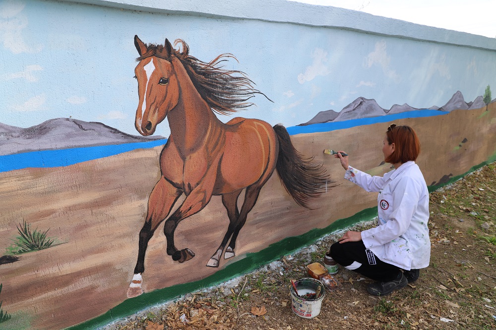 Mendereste Akcakoyun Duvarlari Tuvale Donustu 4