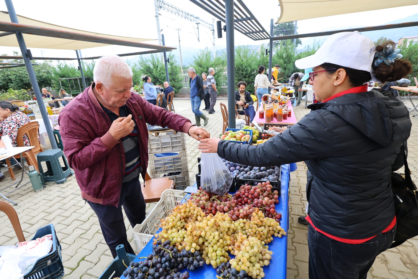 Üretici Pazarı (7)