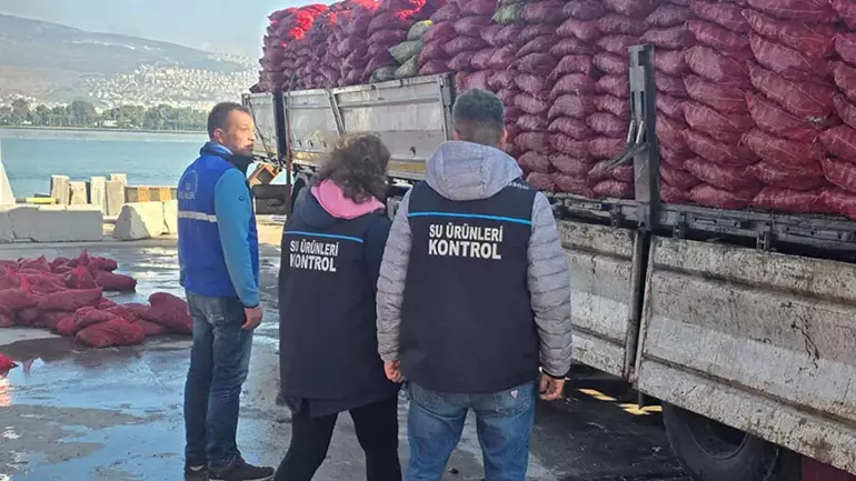 6916Ee110A360C93D58F8654