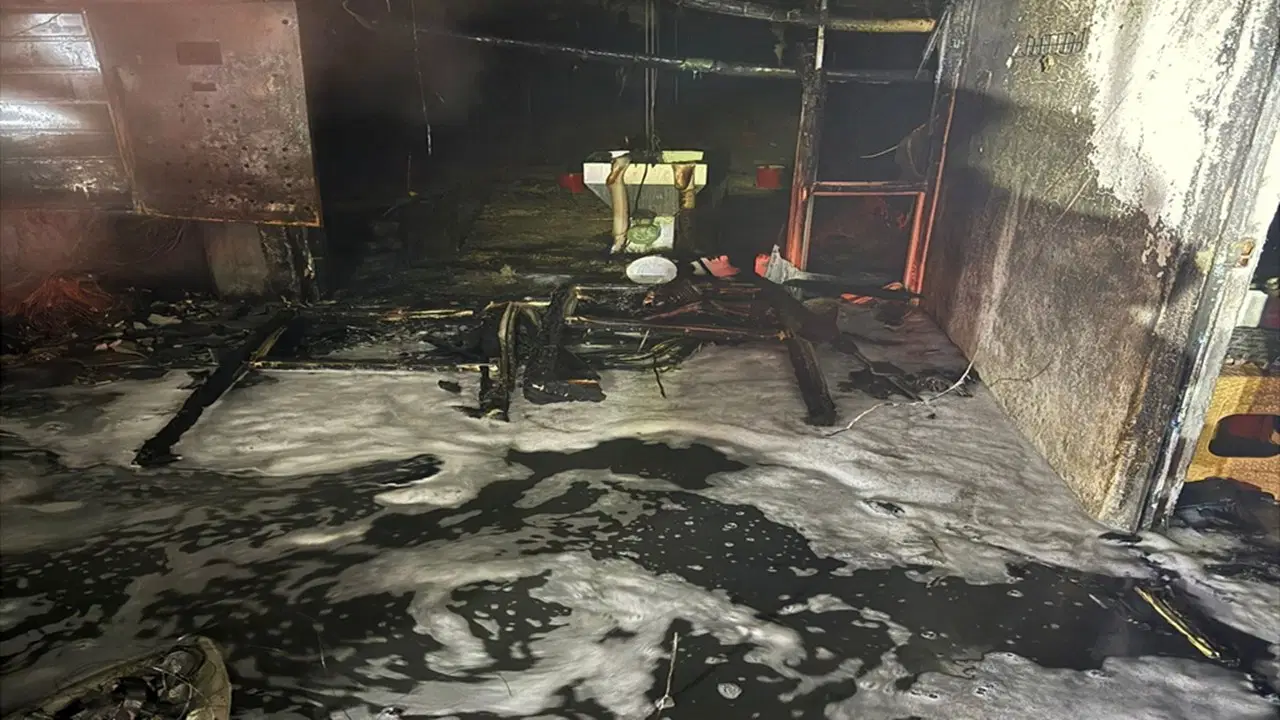 Db514F1C A6D5 42D5 9A1B Cbc9B1027A86