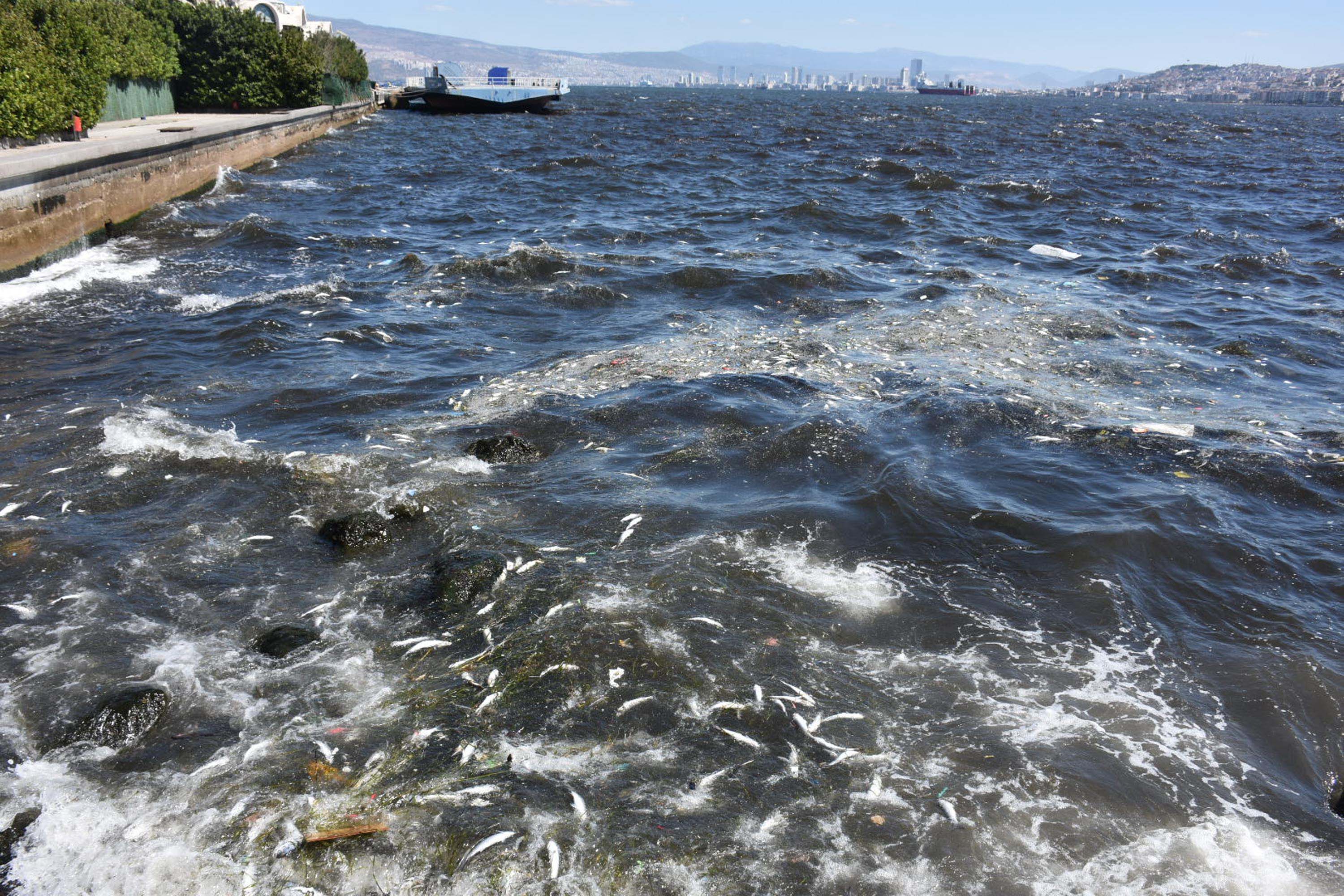 Korfezin Rengi Kahverengiye Dondu Kotu Koku Sahili Esir Aldi 4