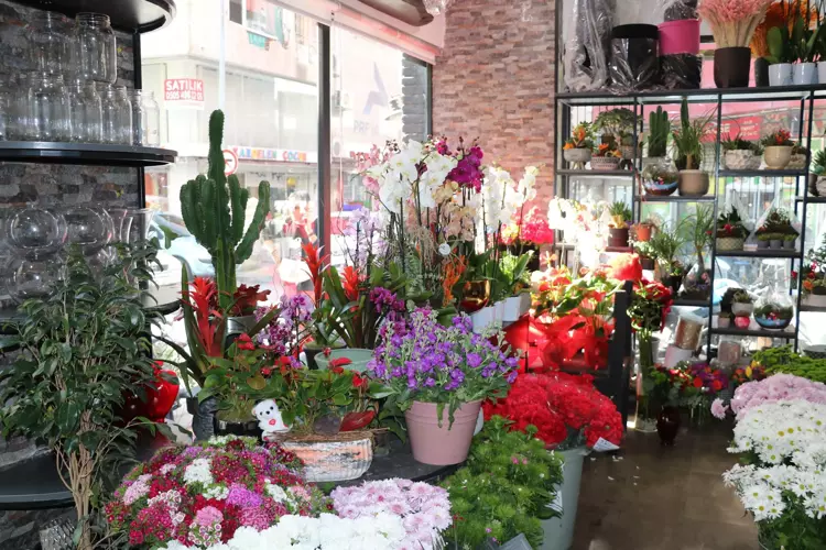 65Cc644Be62E037820Df62D0