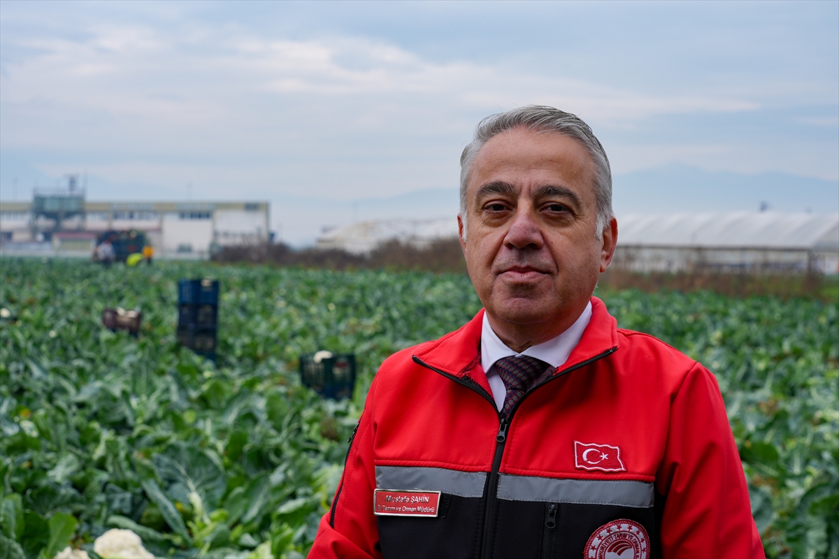 A A 20251211 39950548 39950545 K I S L I K S E B Z E U S S U I Z M I R U R E T I M G U C U N U Y E R L I C E S I T L E R L E A R T I R D I