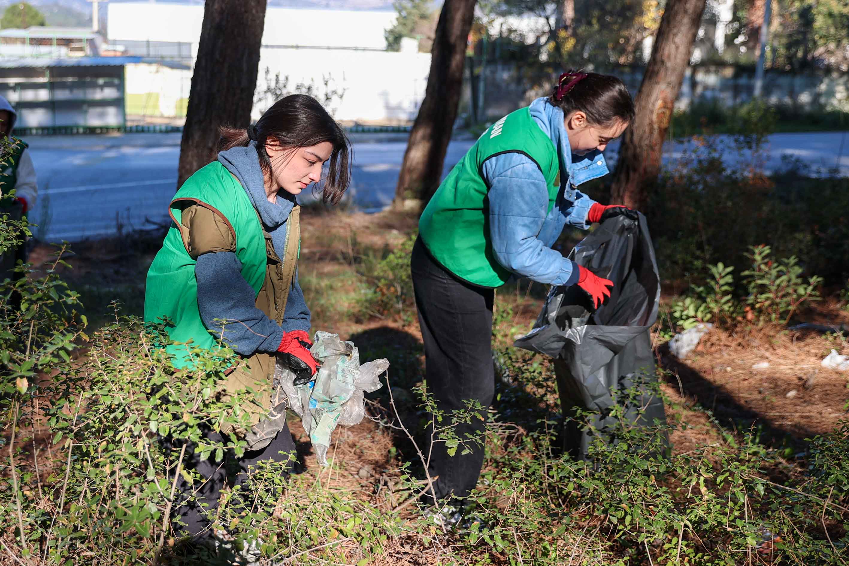 Buca Orman Temizligi (3)