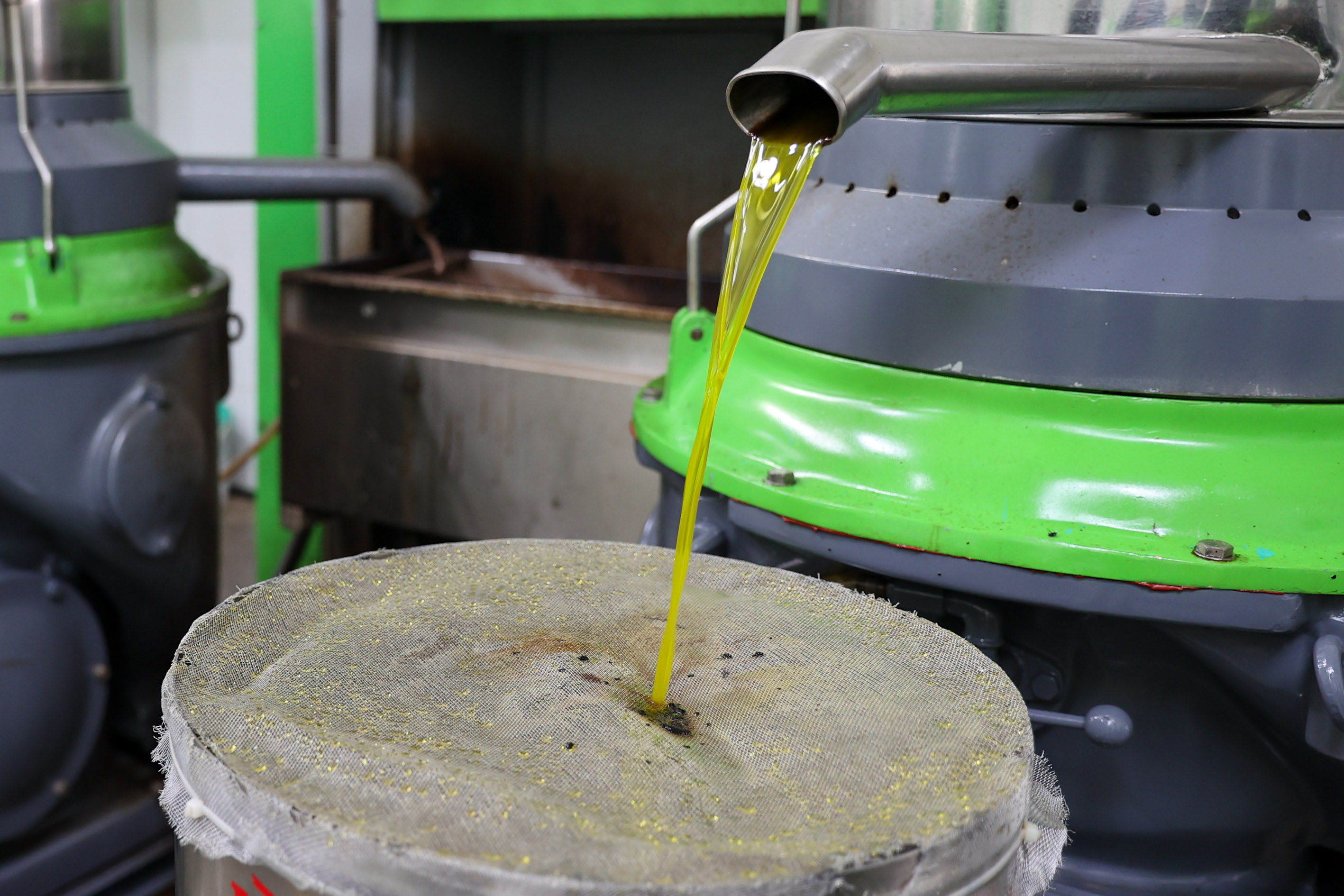 Buca Zeytinyağı (7)