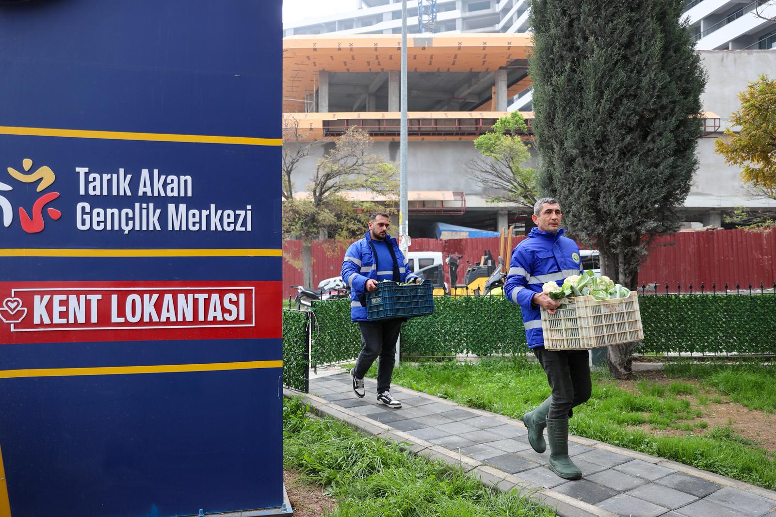 Buca'da Tarım Hasat 04