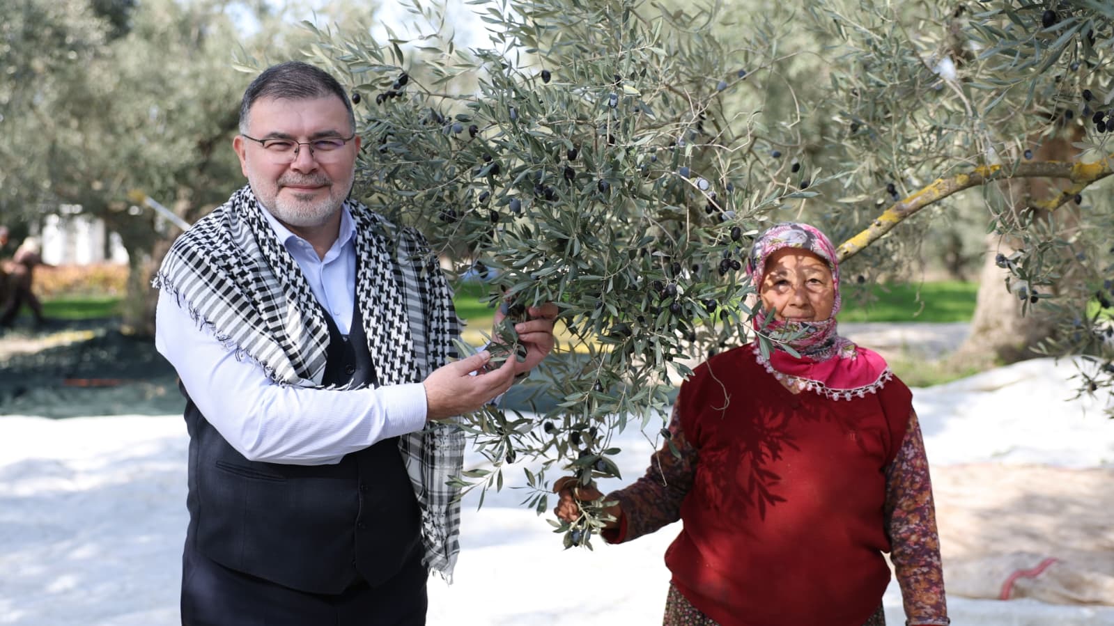 I M G 20251211 W A0003